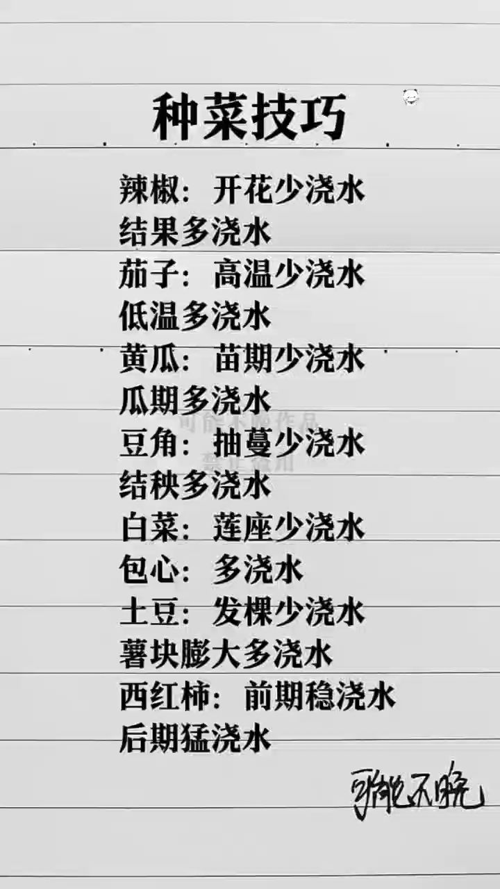 种菜技巧,看视频