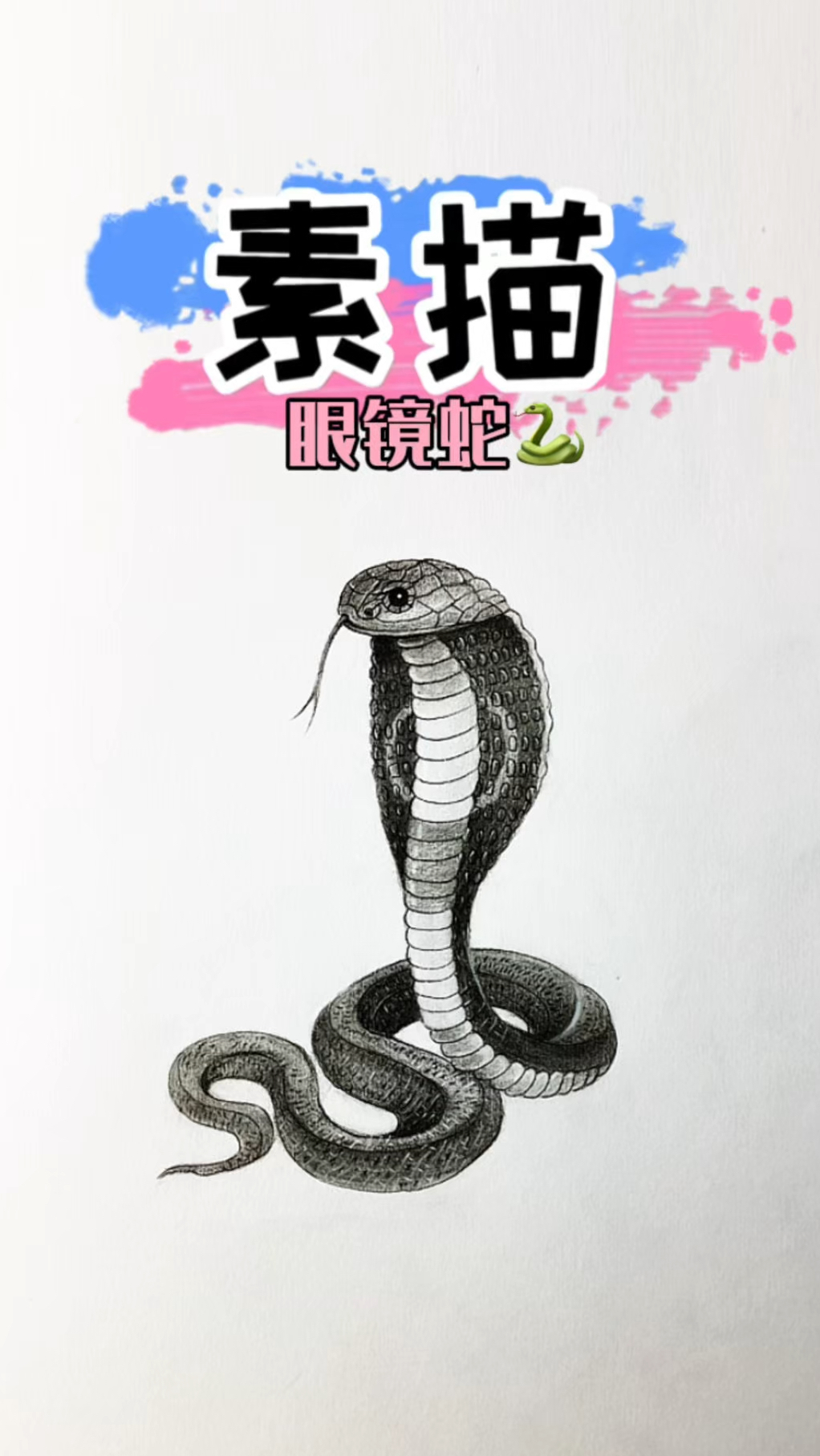 素描眼镜蛇教程,一学就会!
