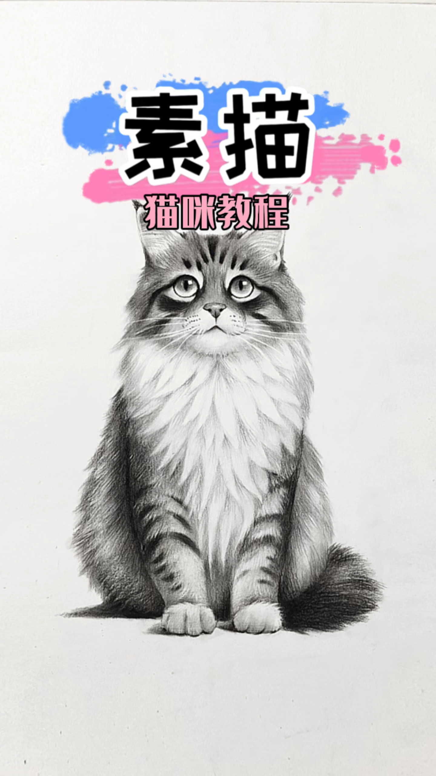 素描猫咪教程,跟老师学画超简单