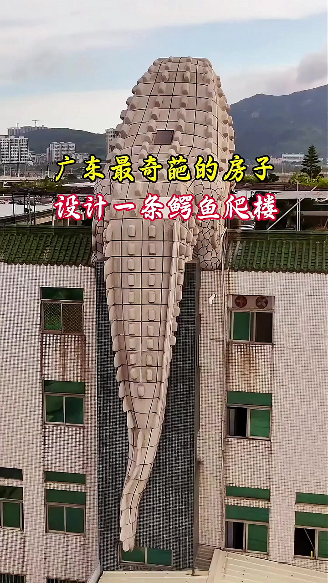 在广东发现一栋造型非常独特的房子，房顶上设计鳄鱼爬楼，也不知道房主是怎么想的，为什么要这样