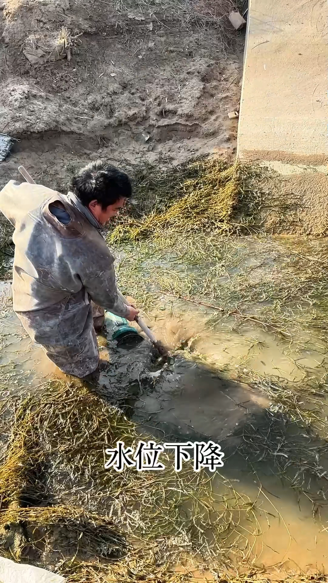 今天发个抽水抓鱼教程