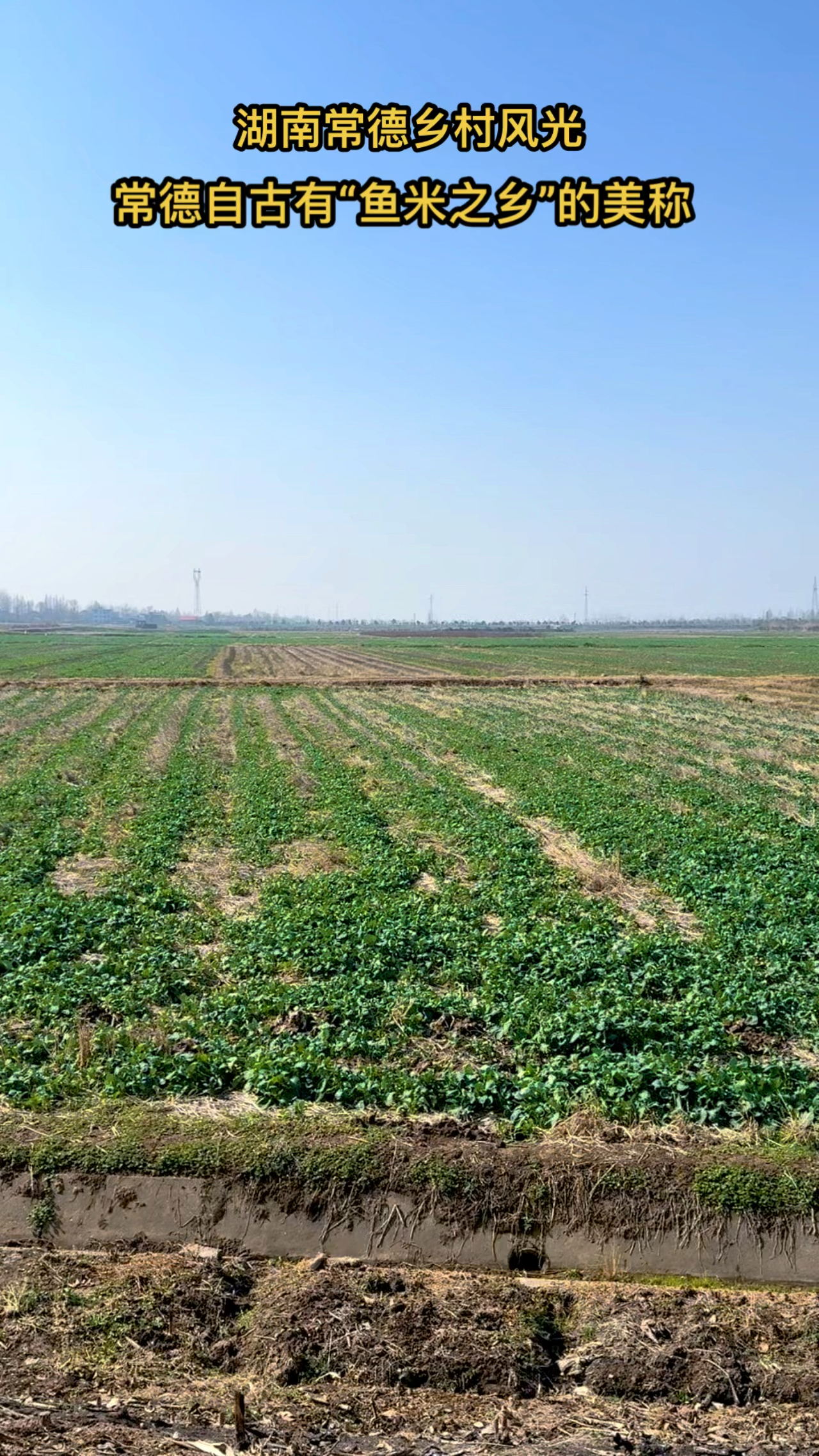 湖南常德乡村风光,常德自古有“鱼米之乡”的美称!