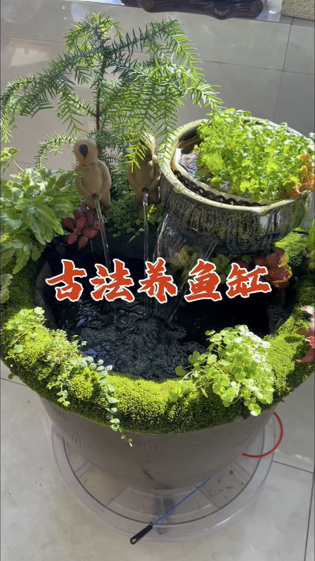 古法养鱼缸的制作