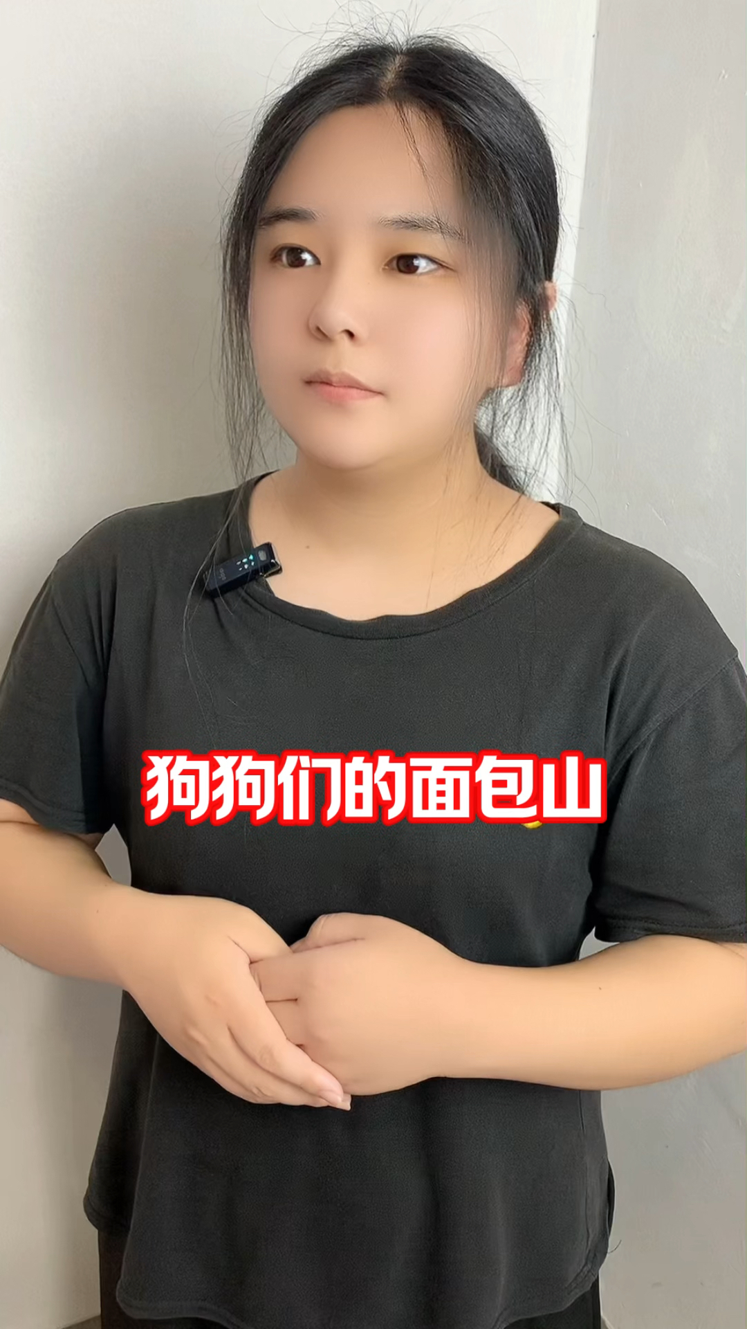 狗狗们有了面包山,趴着吃、边睡边吃! #冷知识 #奇闻趣事