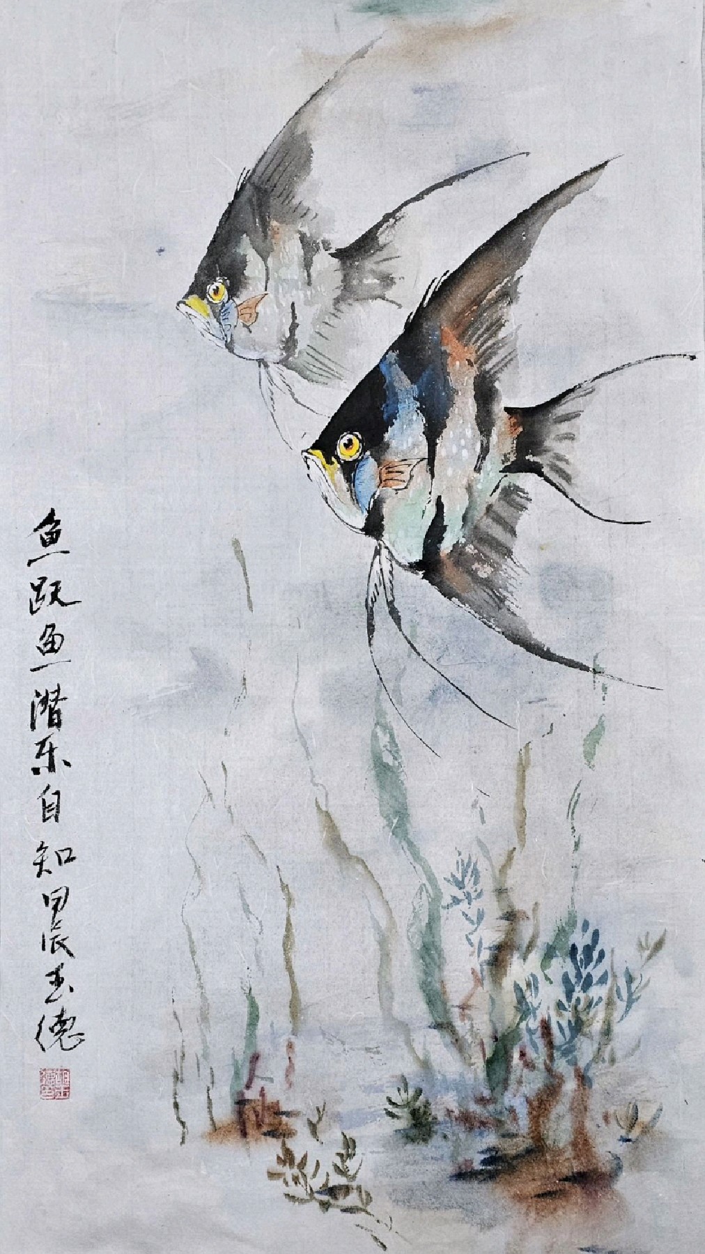 《鱼跃鱼潜乐自知》神仙鱼国画步骤