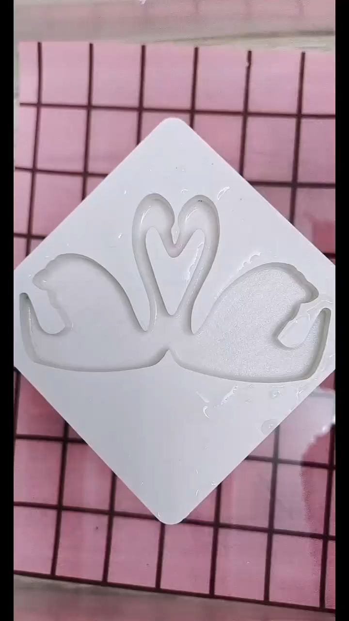 美丽的彩色天鹅!