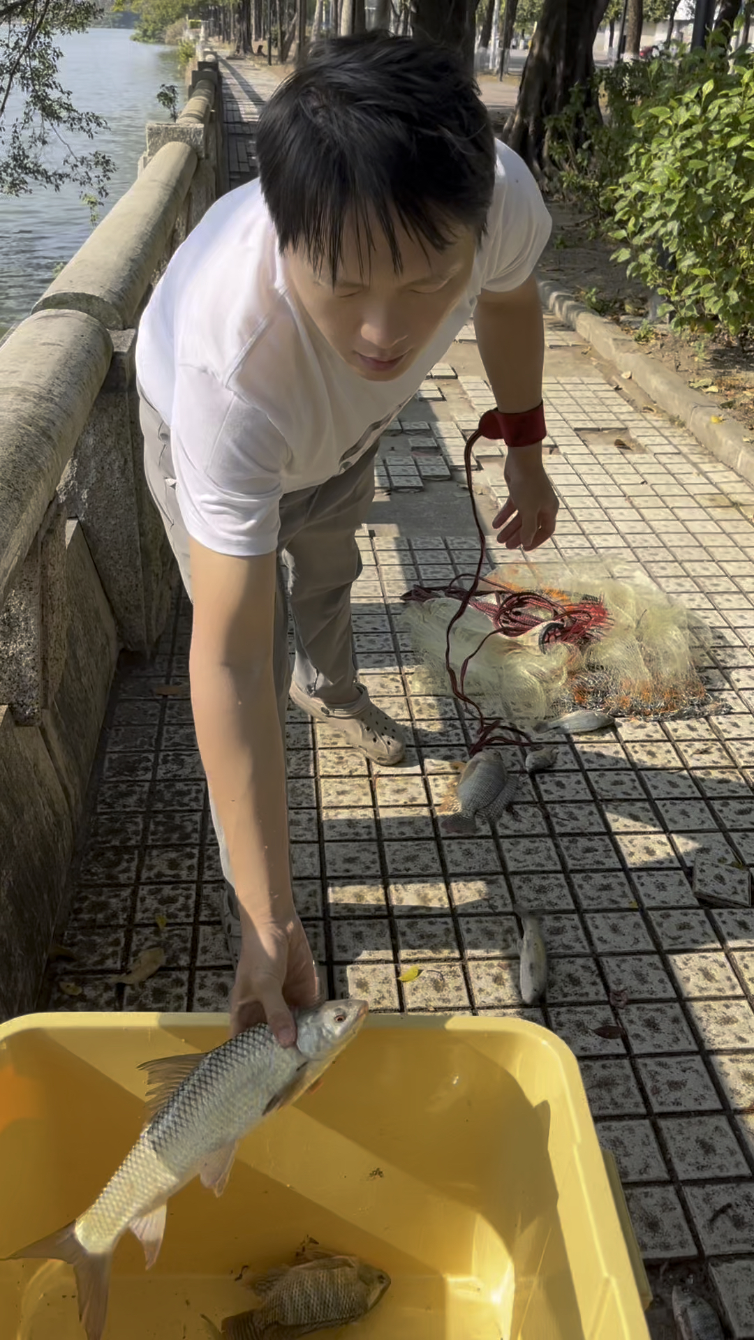 小伙子真厉害,短短一两分钟就抓一桶鱼