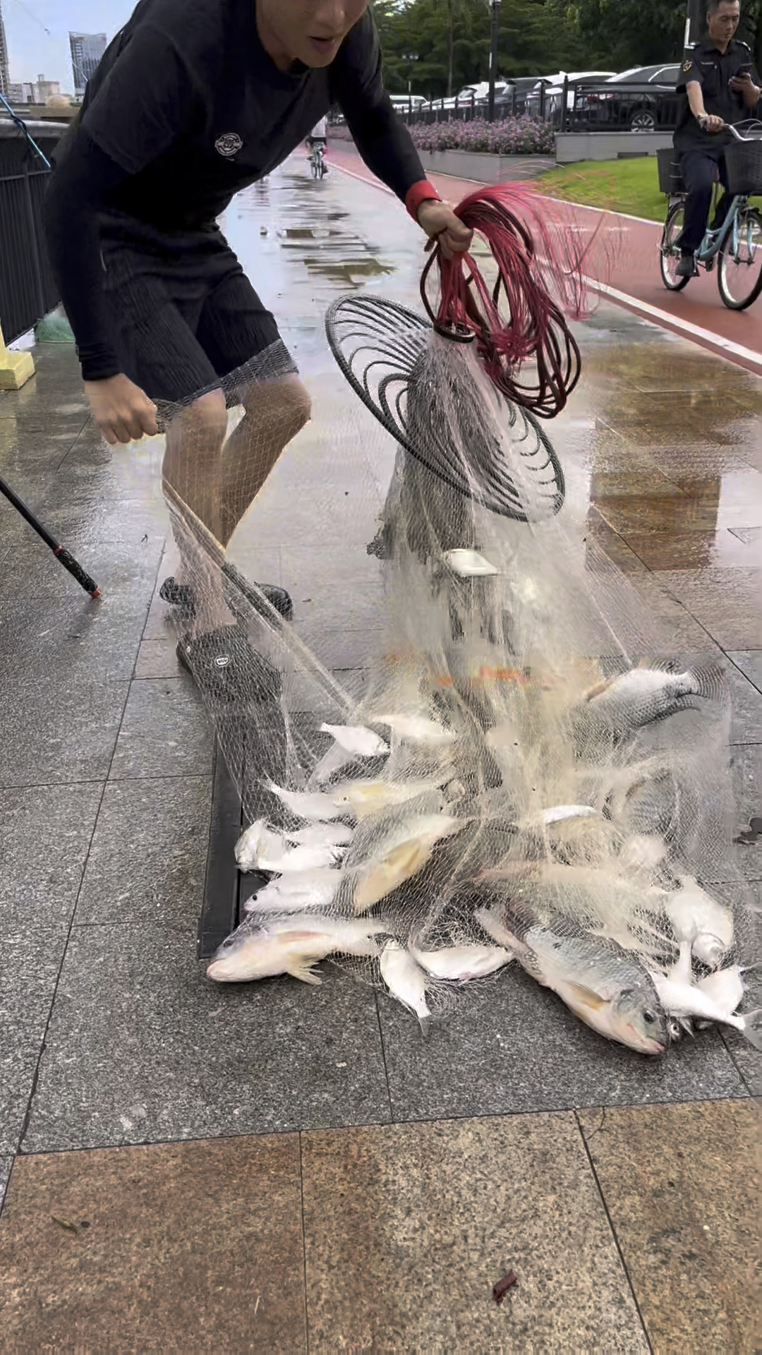 鱼网行不行撒往来证明。