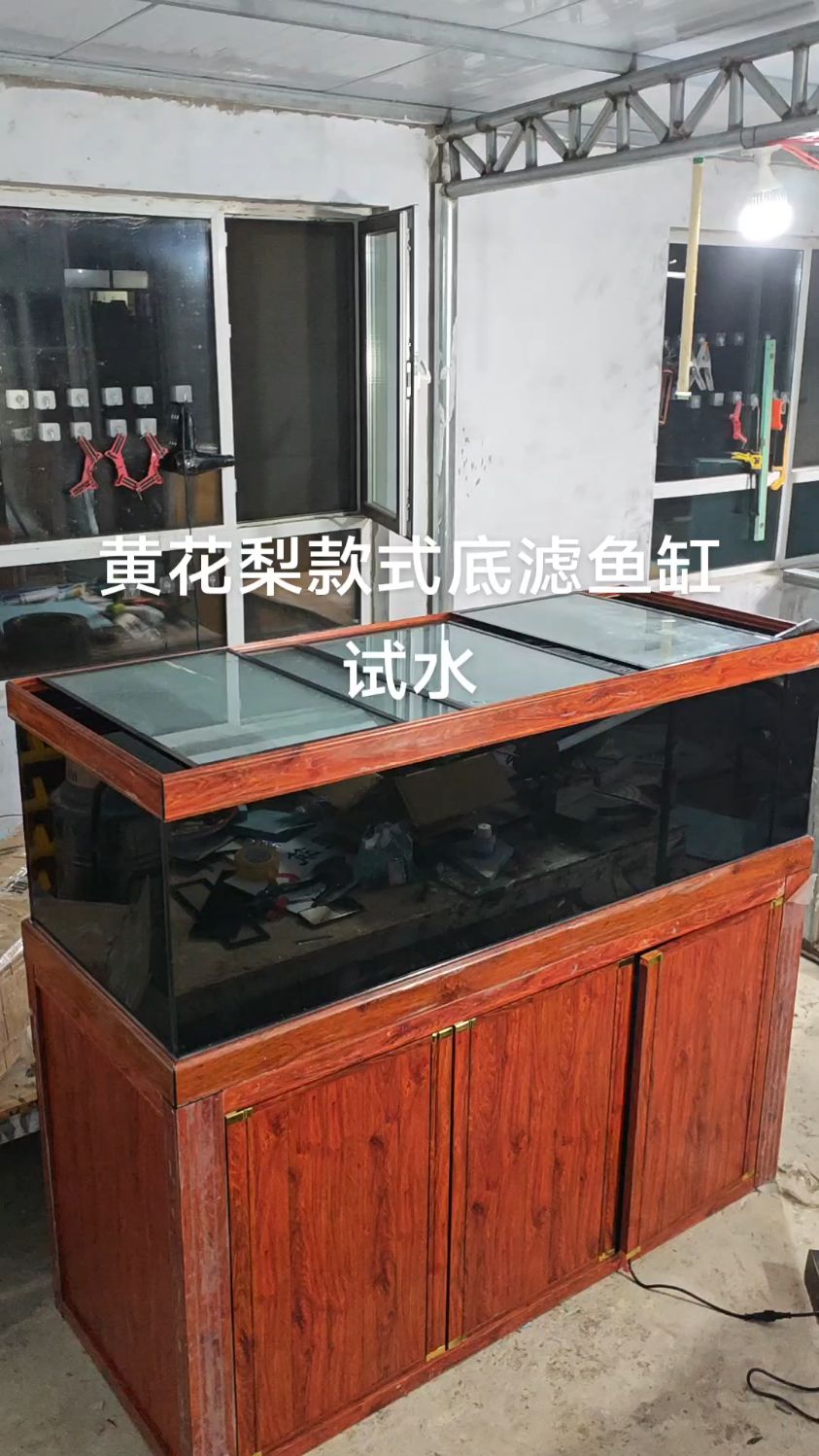 黄花梨款式底滤鱼缸试水了看看效果