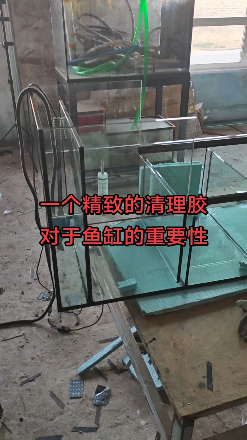 一个精致的清理胶,对于鱼缸的重要性