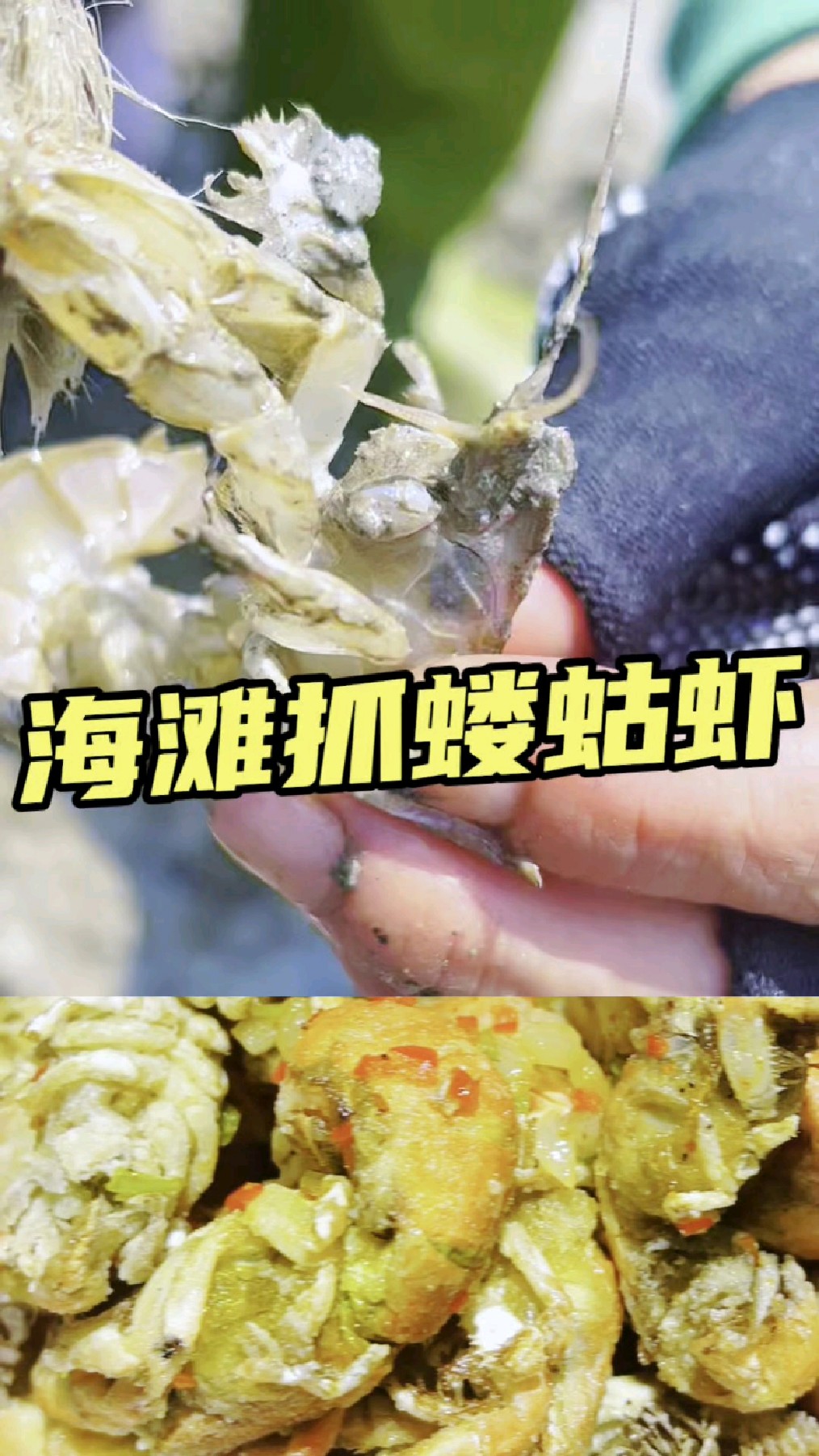海滩抓蝼蛄虾#赶海 #大海的馈赠 #蝼蛄虾