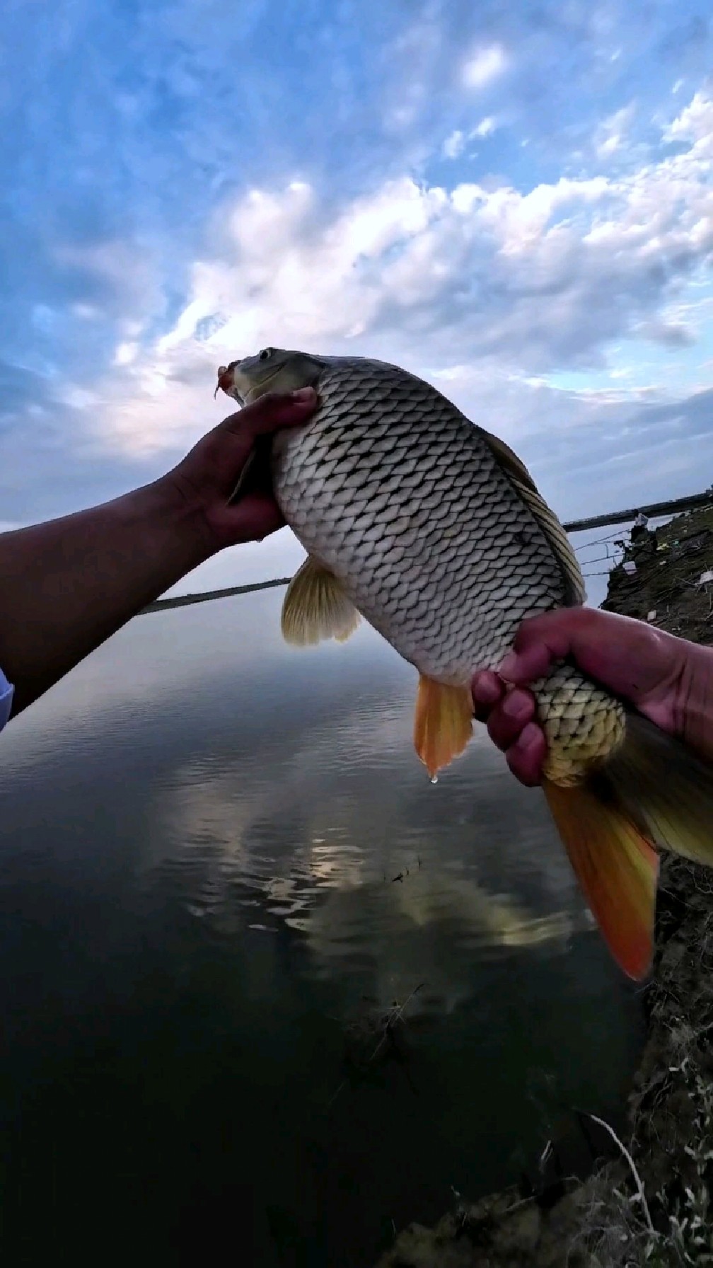 饵料界的第1名是谁捡100个饵料包装袋数一数
