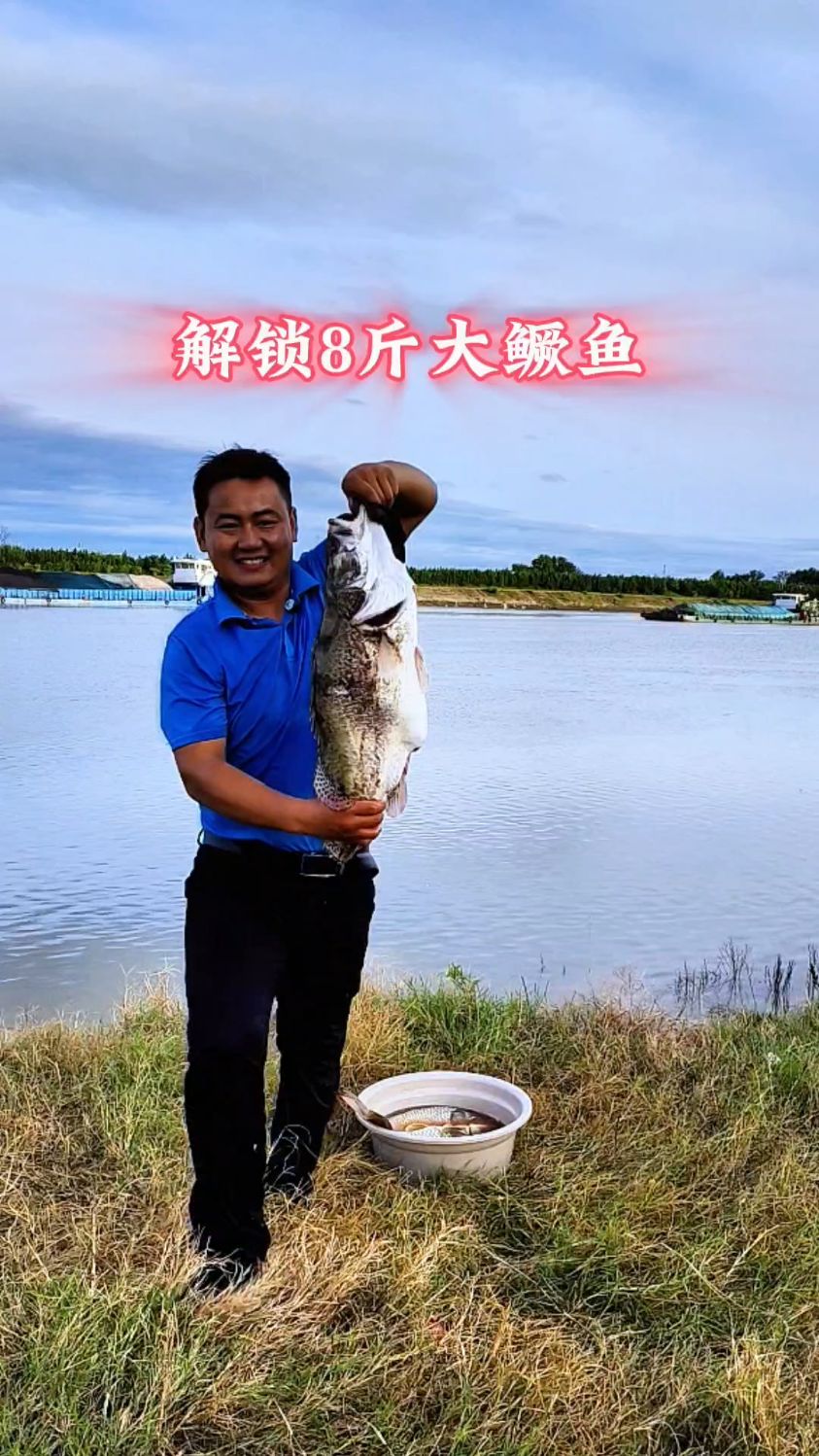 解锁鲢鳙饵料钓鲤鱼居然上了一条8斤大鳜鱼