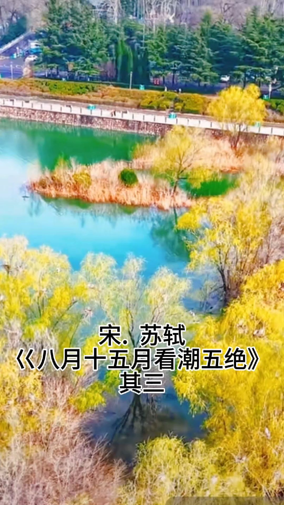 宋.苏轼诗.书法作品