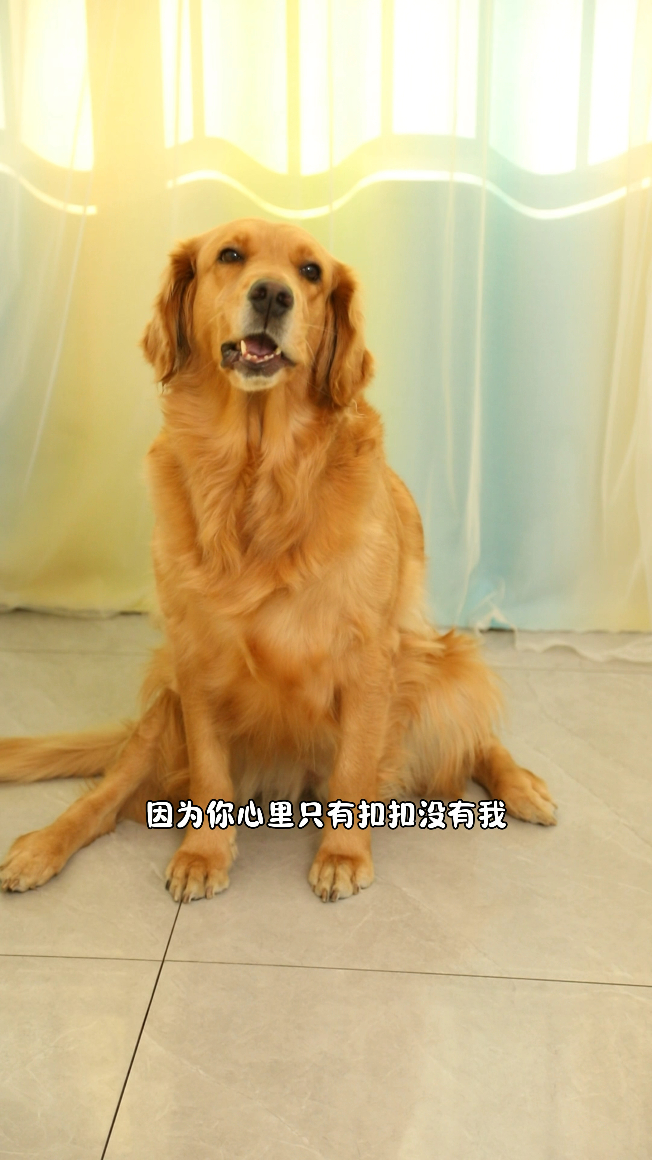 原来奶茶是误会了妈妈和coco呀