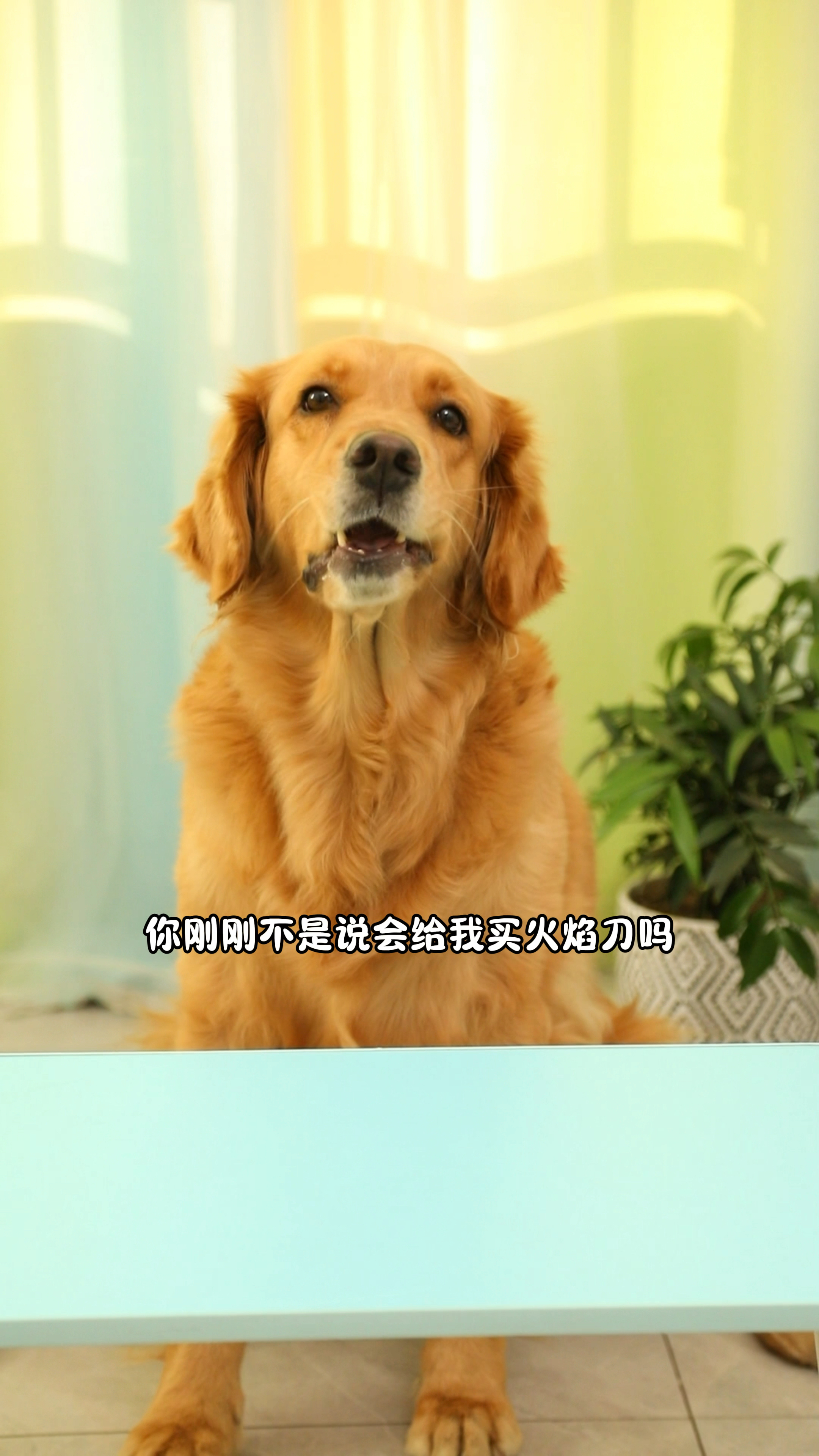 劳力士名表还没有本子好吗