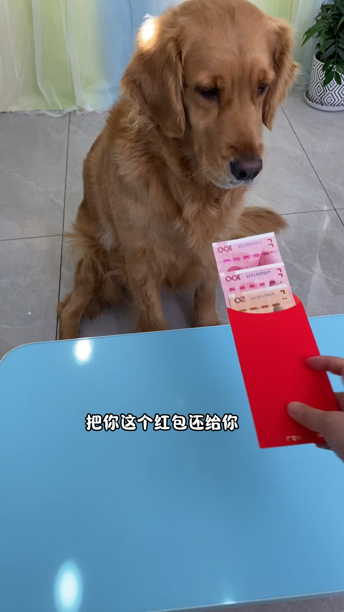 妈妈把奶茶的钱藏起来了