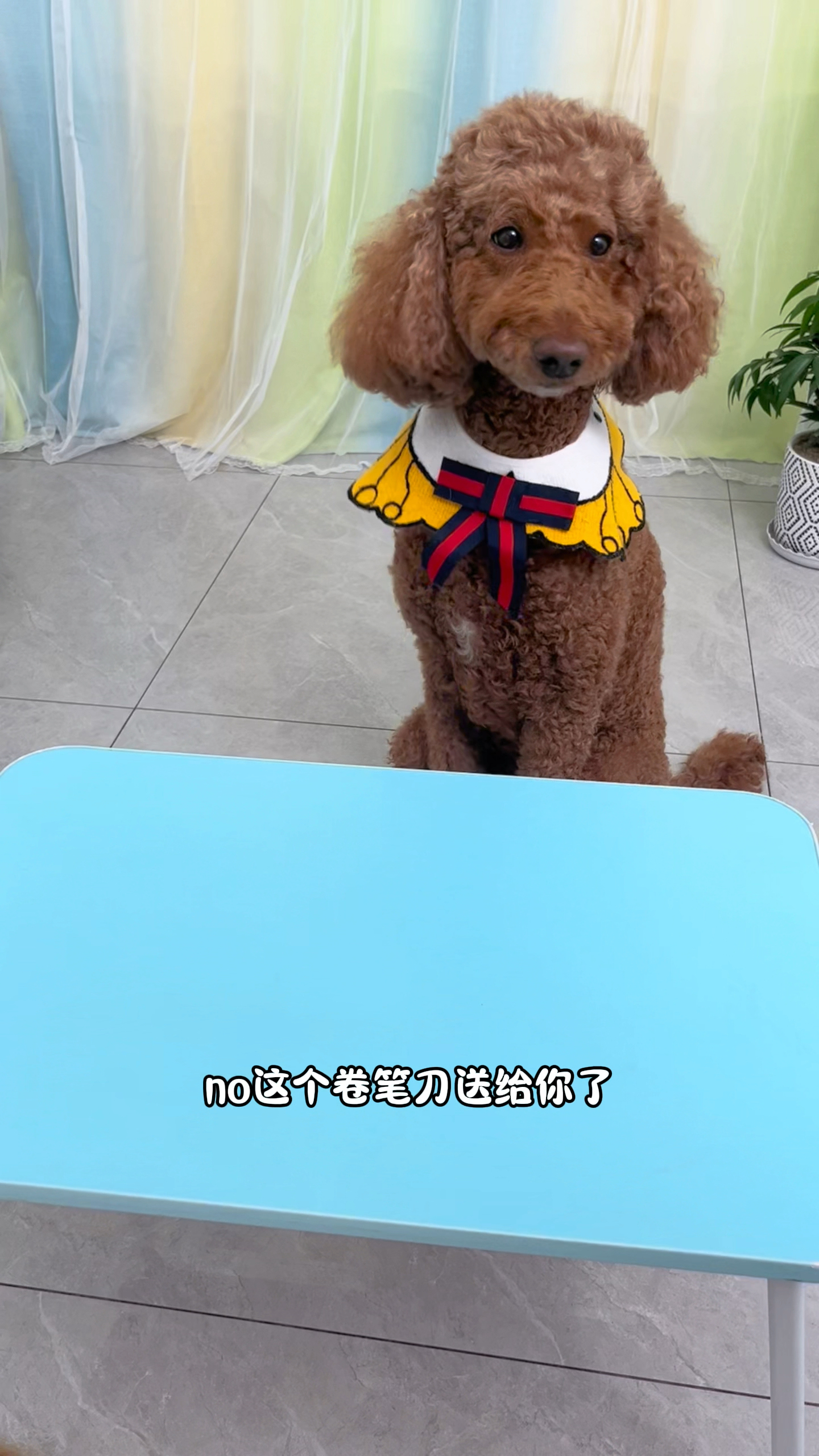 妈妈给奶茶的是什么呀