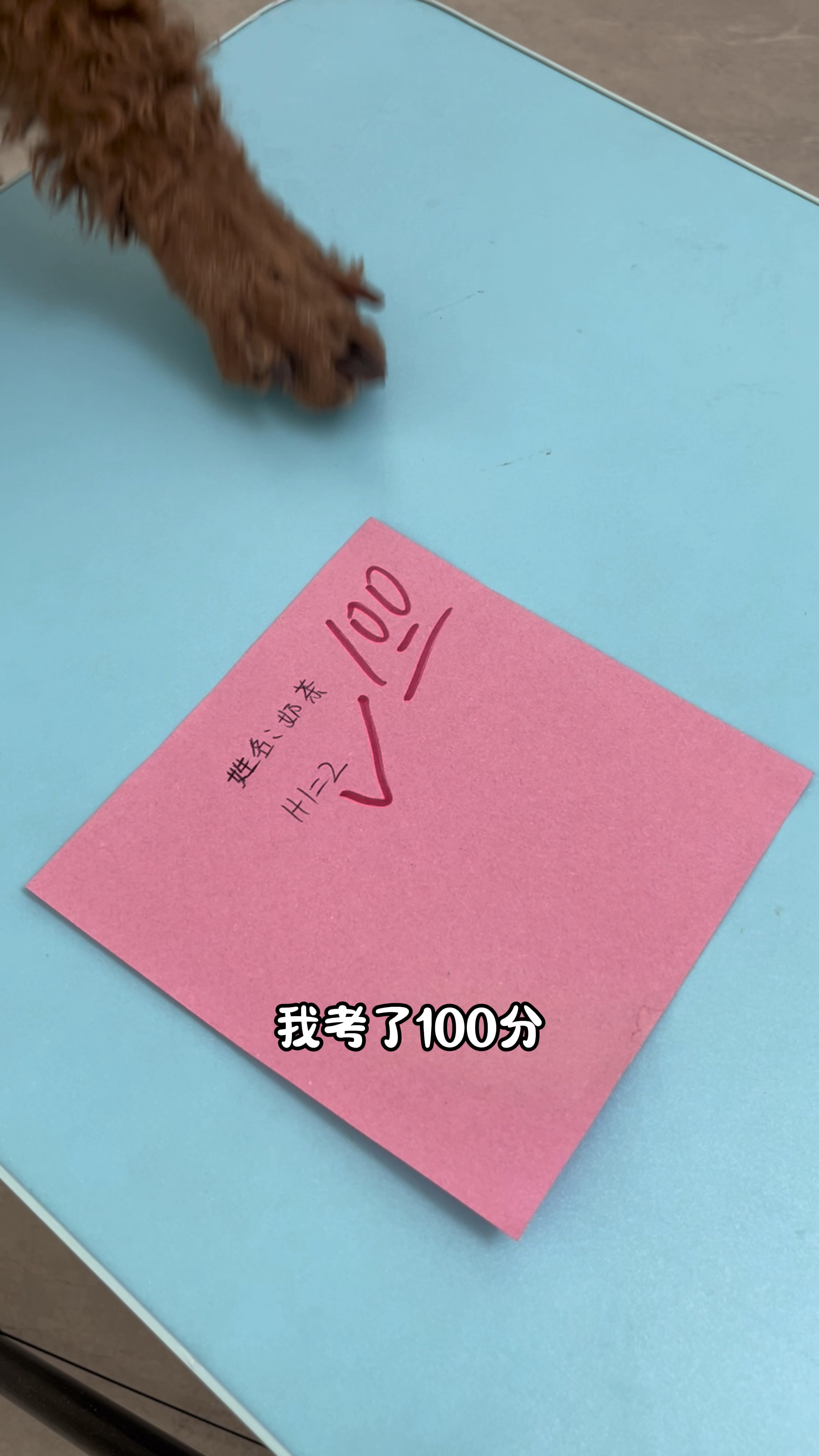 coco居然偷奶茶的试卷