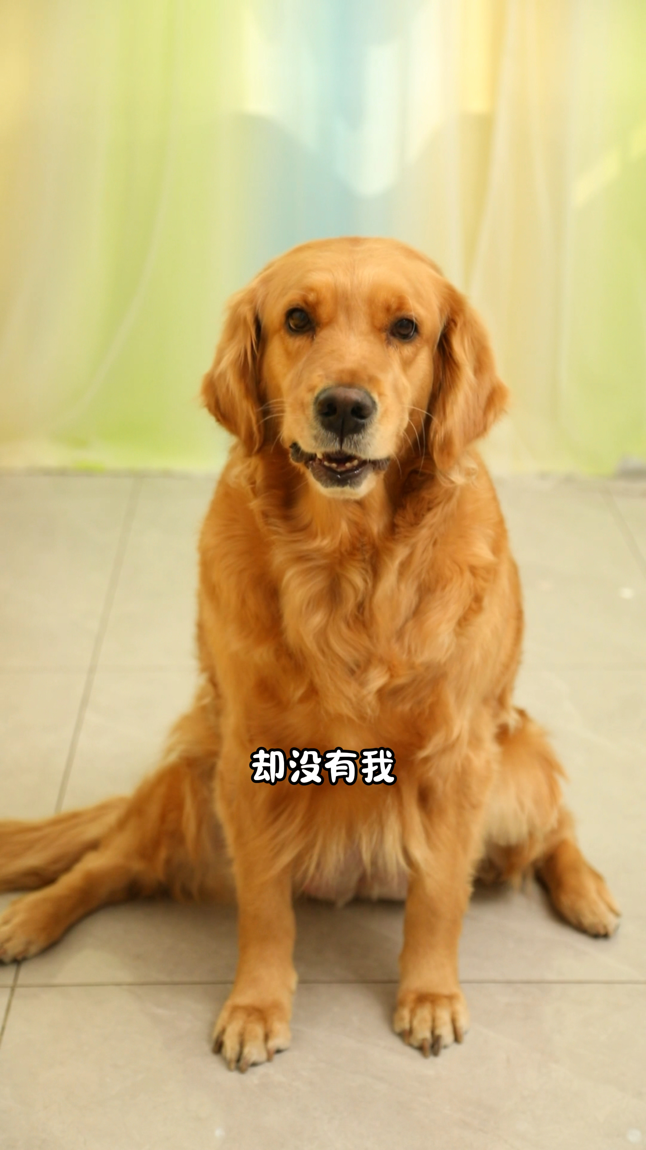 家长错了也要跟孩子道歉