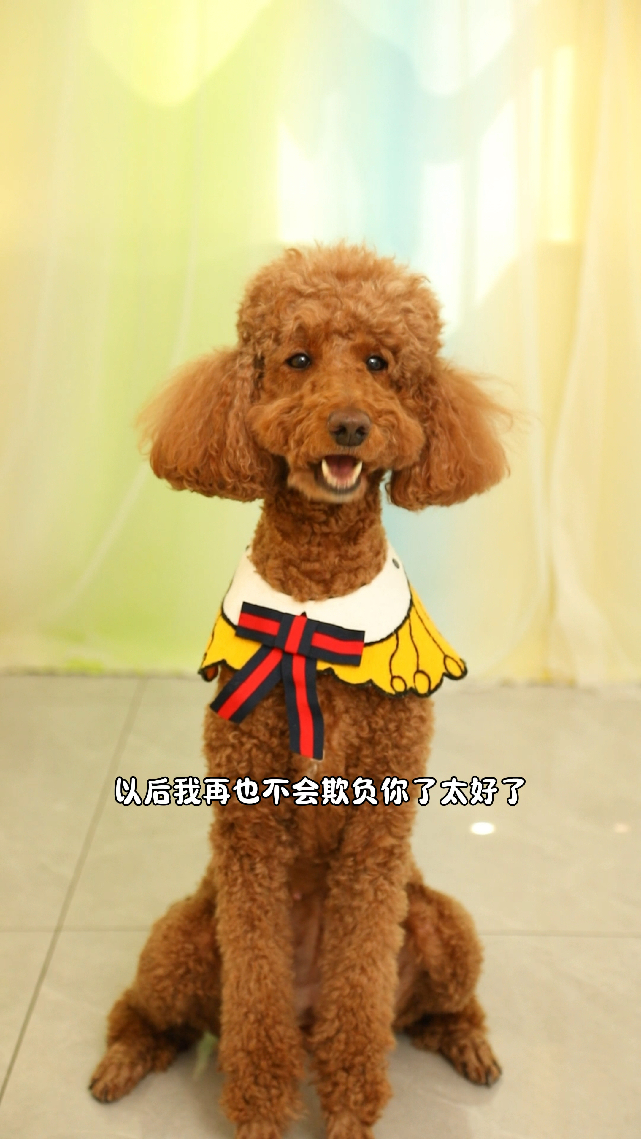 coco和奶茶最后还是和解啦