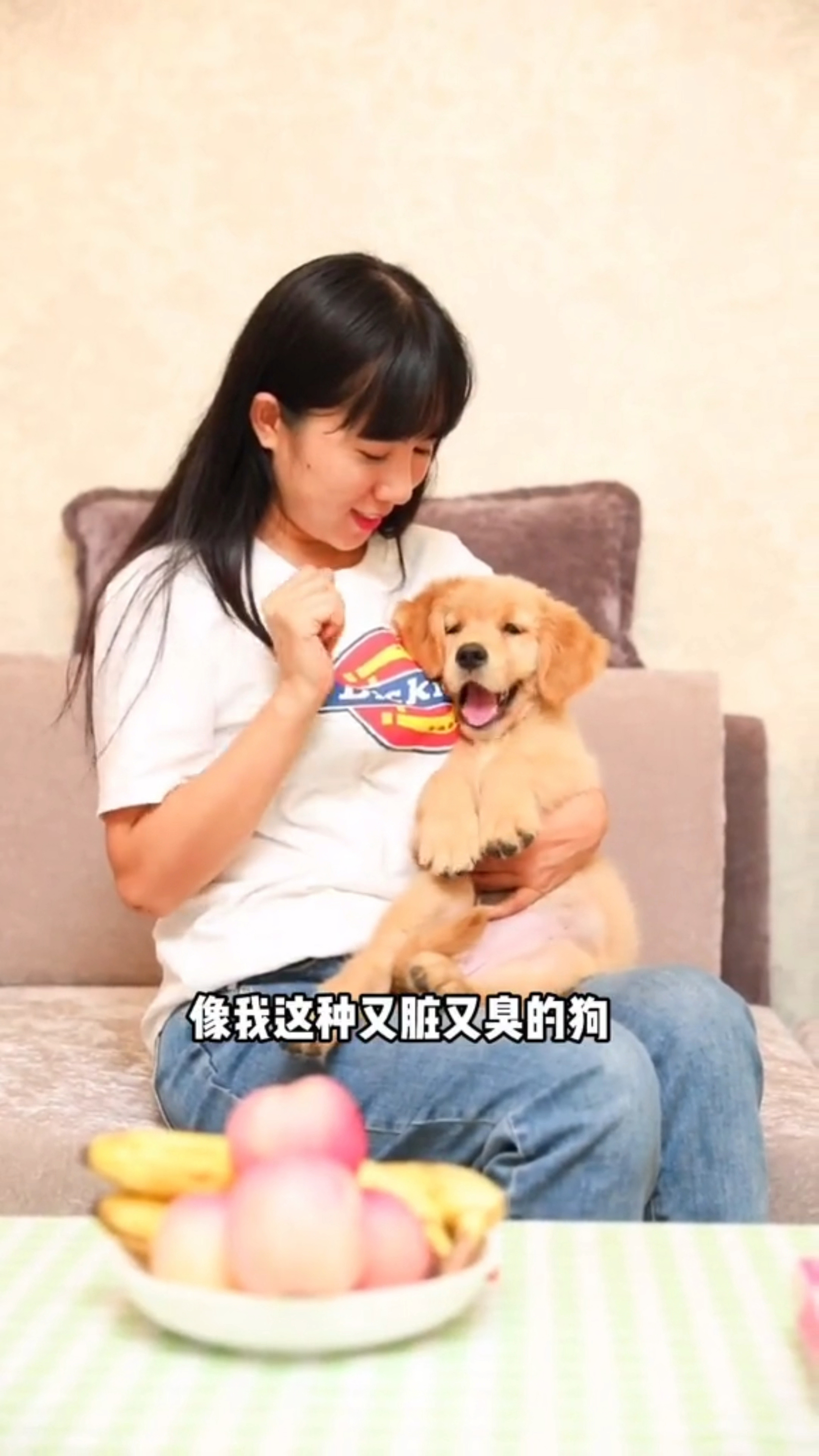 奶茶小狗真的好可爱呀