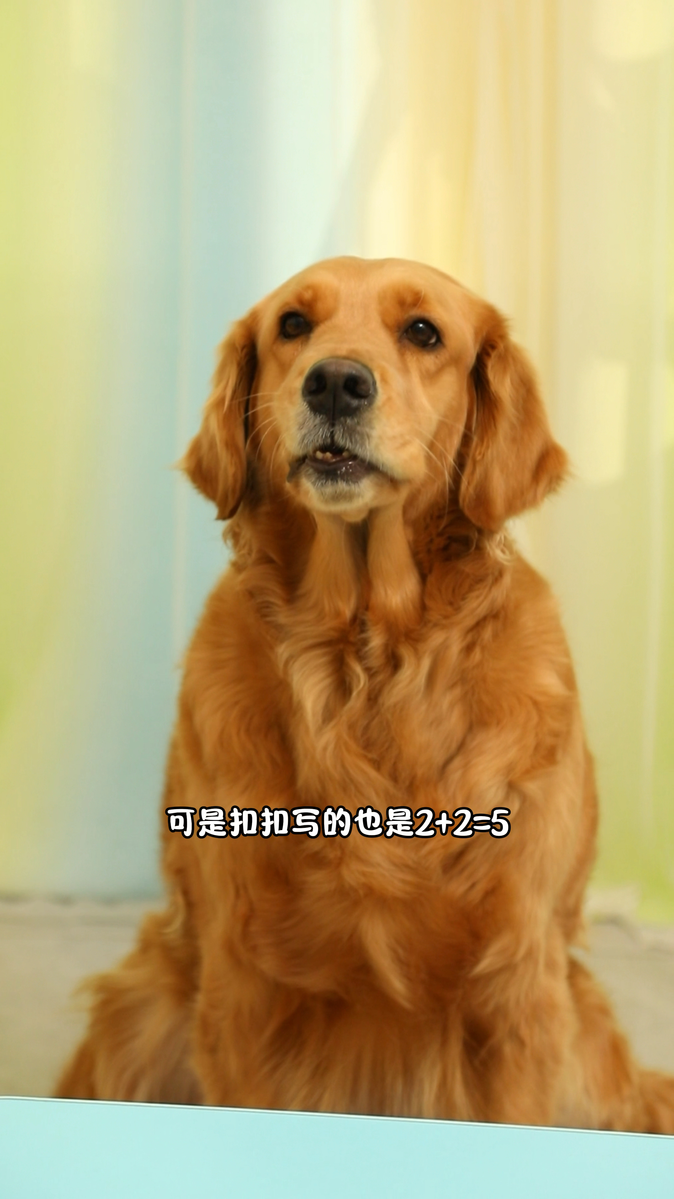 其实coco和奶茶都错了
