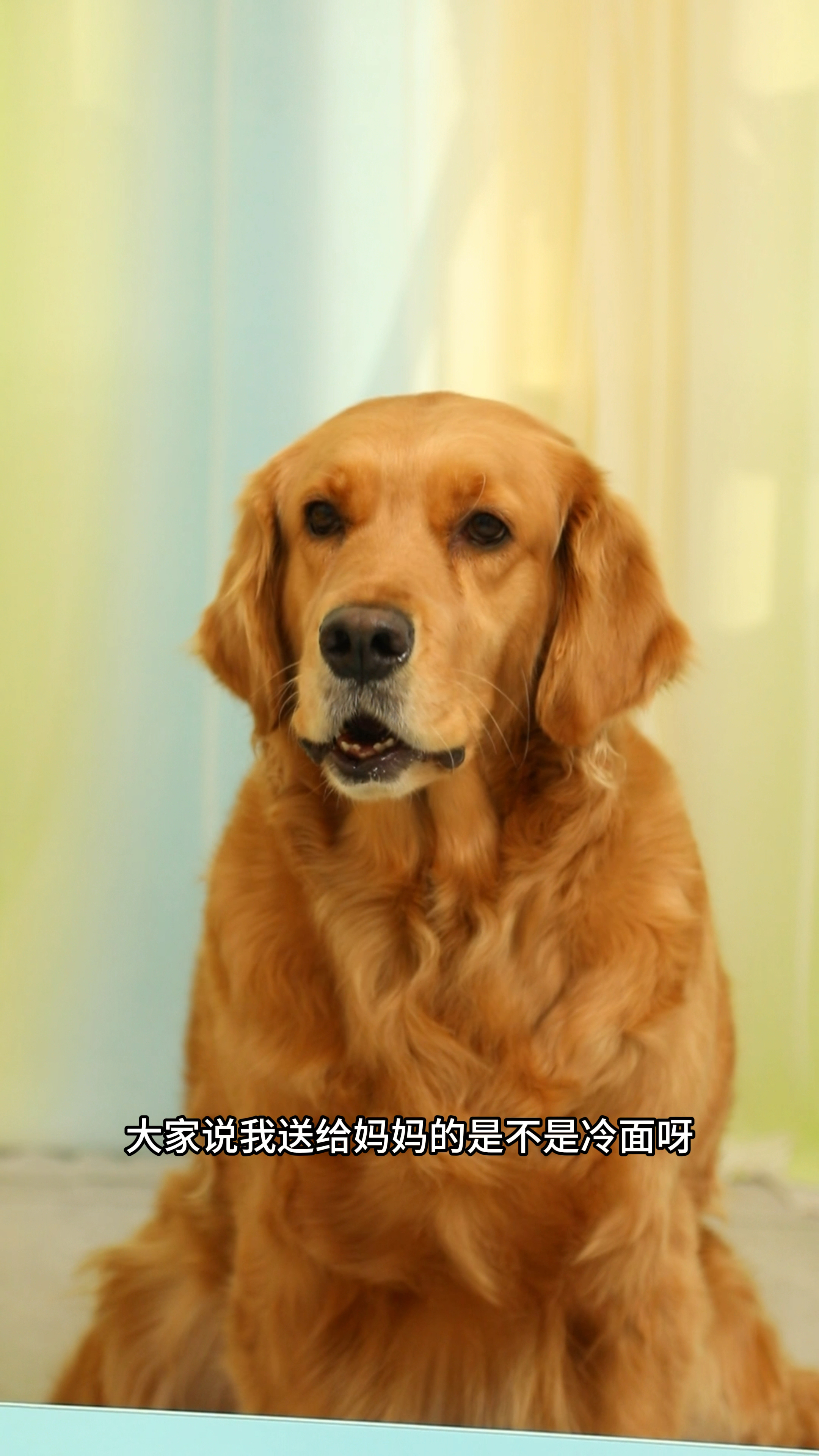 奶茶给妈妈的是魔芋爽