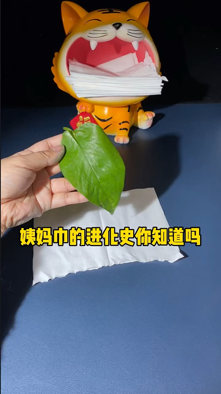 姨妈巾首选竹音有语卫生巾