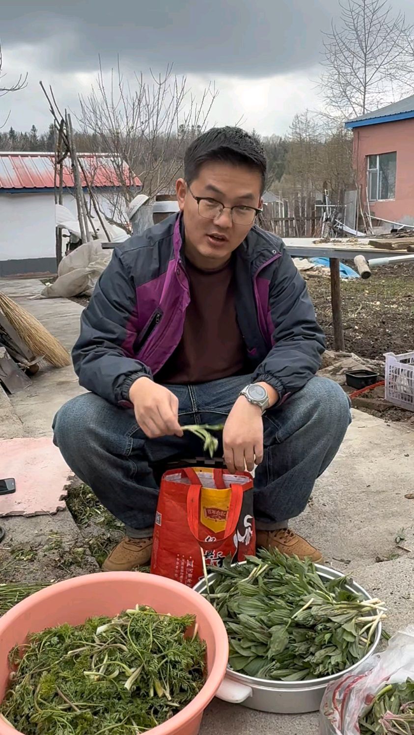 有一种菜百分之99的东北人都不认识的山菜!你认识吗?