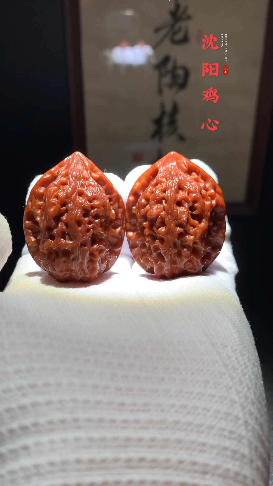 百年老树沈阳鸡心,原树沈阳鸡心姬核桃,全品收藏级。