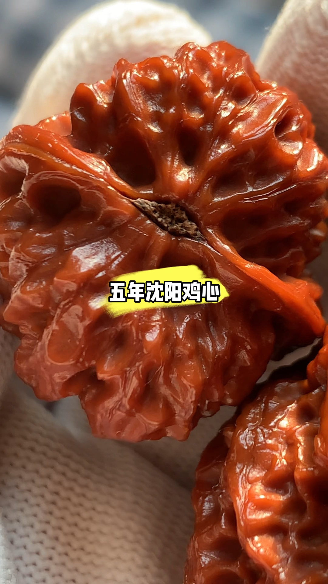 百年老树沈阳鸡心,原树沈阳鸡心姬核桃,矮桩大肚把玩五年欣赏。