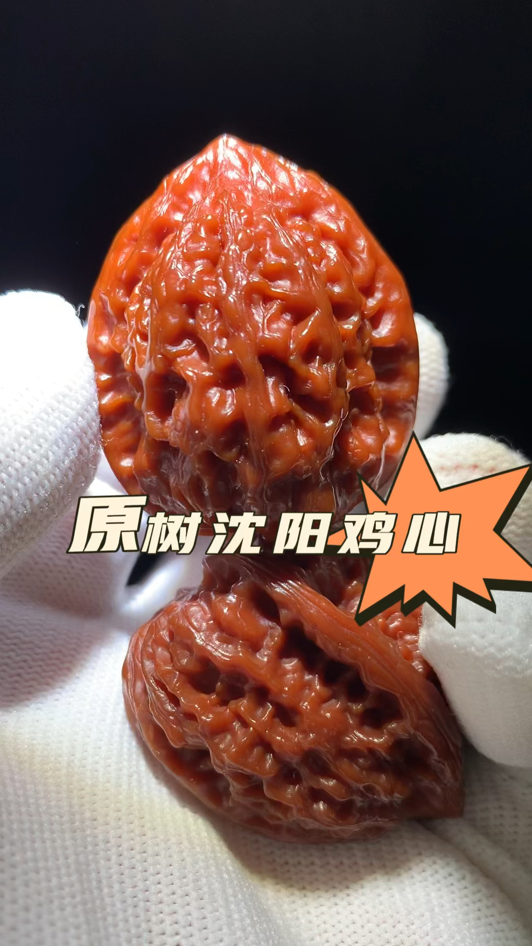 百年老树沈阳鸡心,原树沈阳鸡心姬核桃,沈阳鸡心我只玩原树