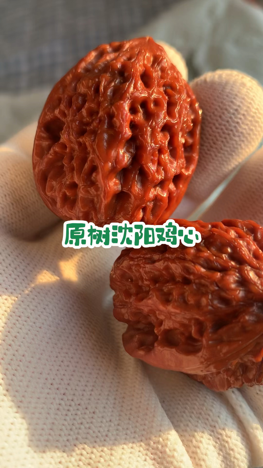 百年老树沈阳鸡心,原树沈阳鸡心姬核,矮桩大肚。
