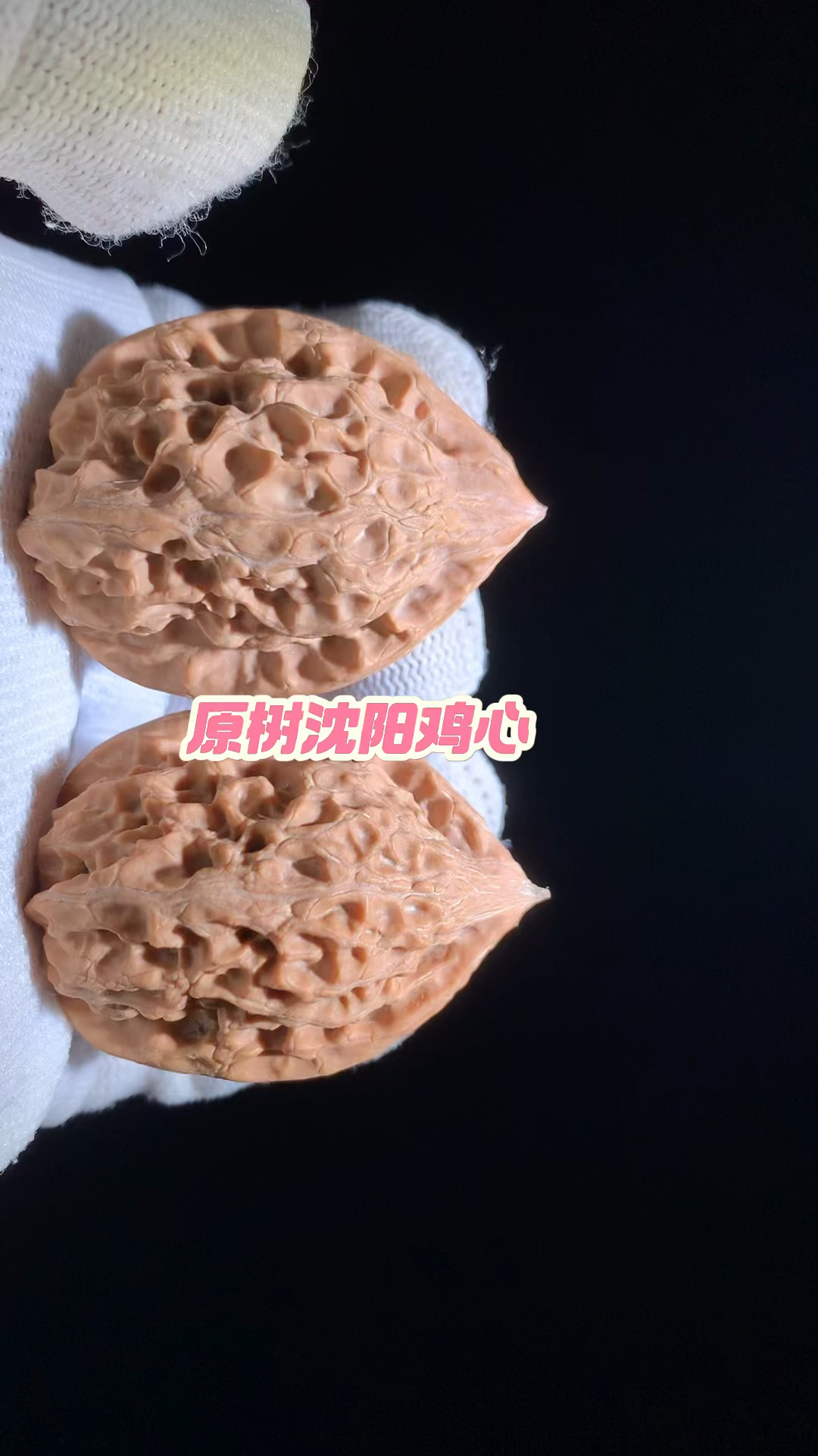 百年老树沈阳鸡心,原树沈阳鸡心姬核桃。2025年新品货头。