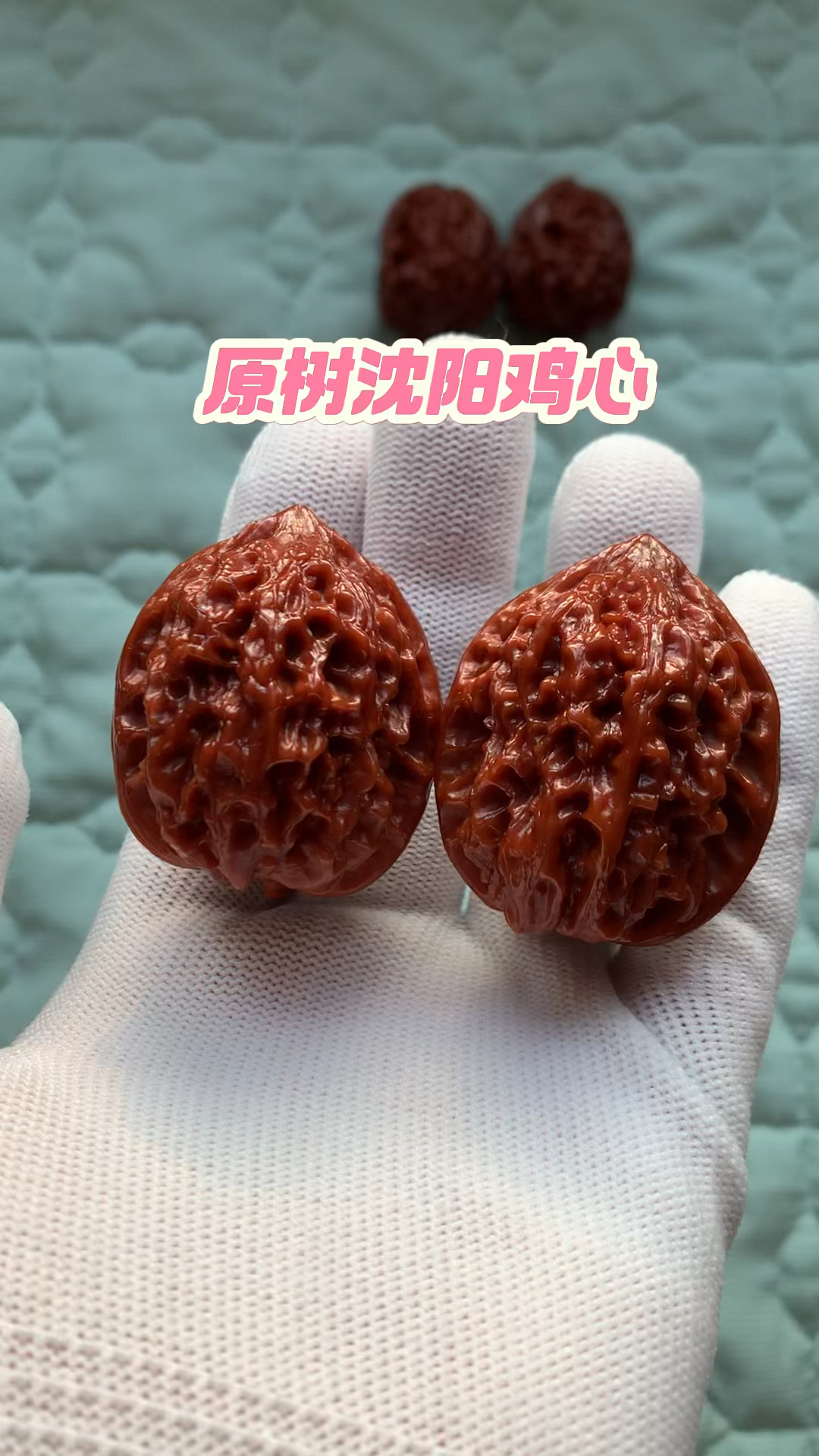 百年老树沈阳鸡心,原树沈阳鸡心姬核桃,2019年老沈鸡。