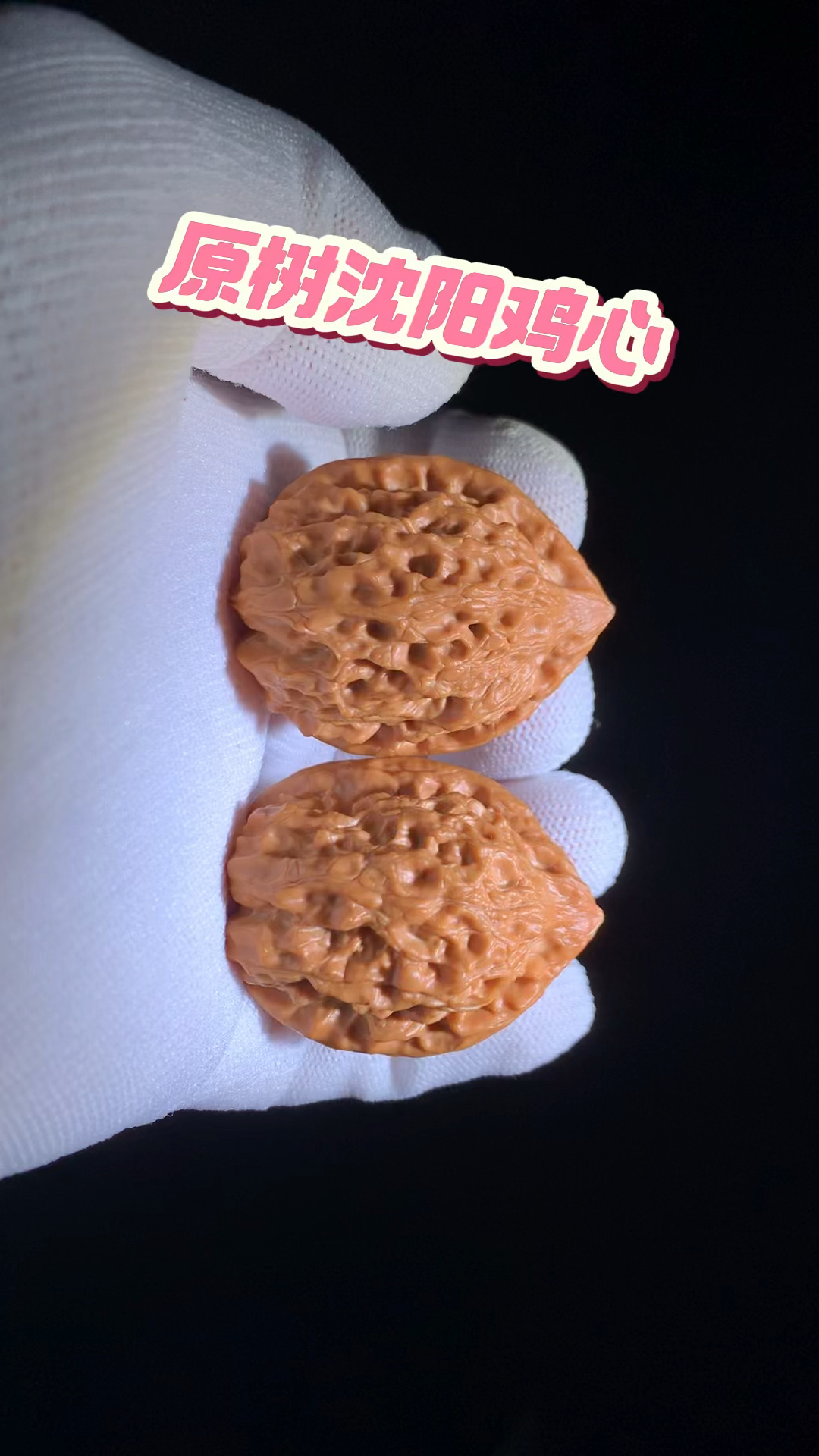 百年老树沈阳鸡心,原树沈阳鸡心姬核桃,2025年出品,一对毕业。