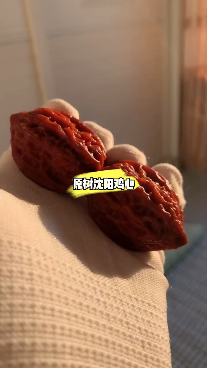 百年老树沈阳鸡心,原树沈阳鸡心姬核桃,2012年老沈鸡。