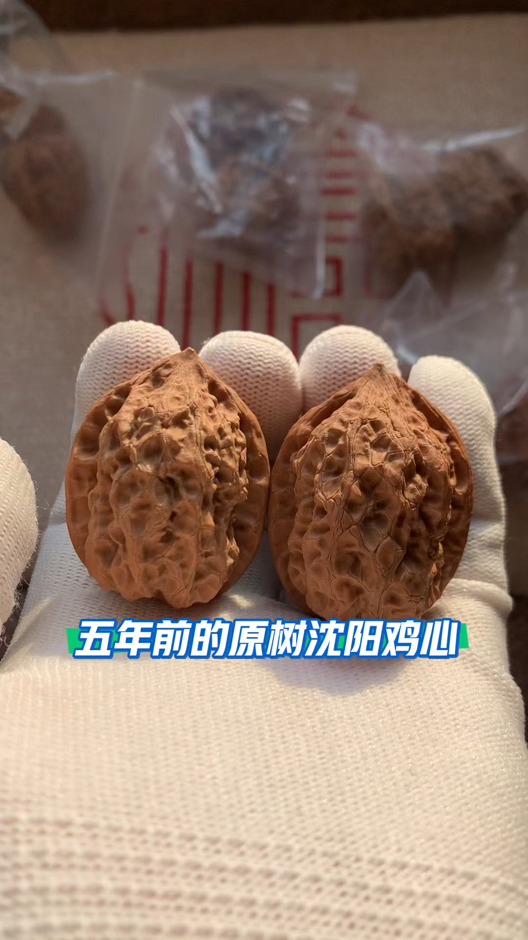 百年老树沈阳鸡心,原树沈阳鸡心姬核桃,5年前老核桃。