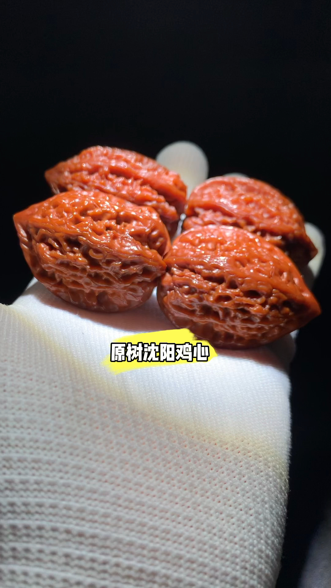 百年老树沈阳鸡心,原树沈阳鸡心姬核桃,老沈鸡欣赏。