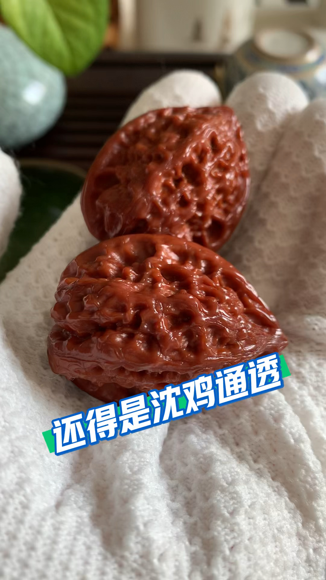 百年老树沈阳鸡心,原树沈阳鸡心姬核桃,自玩欣赏。