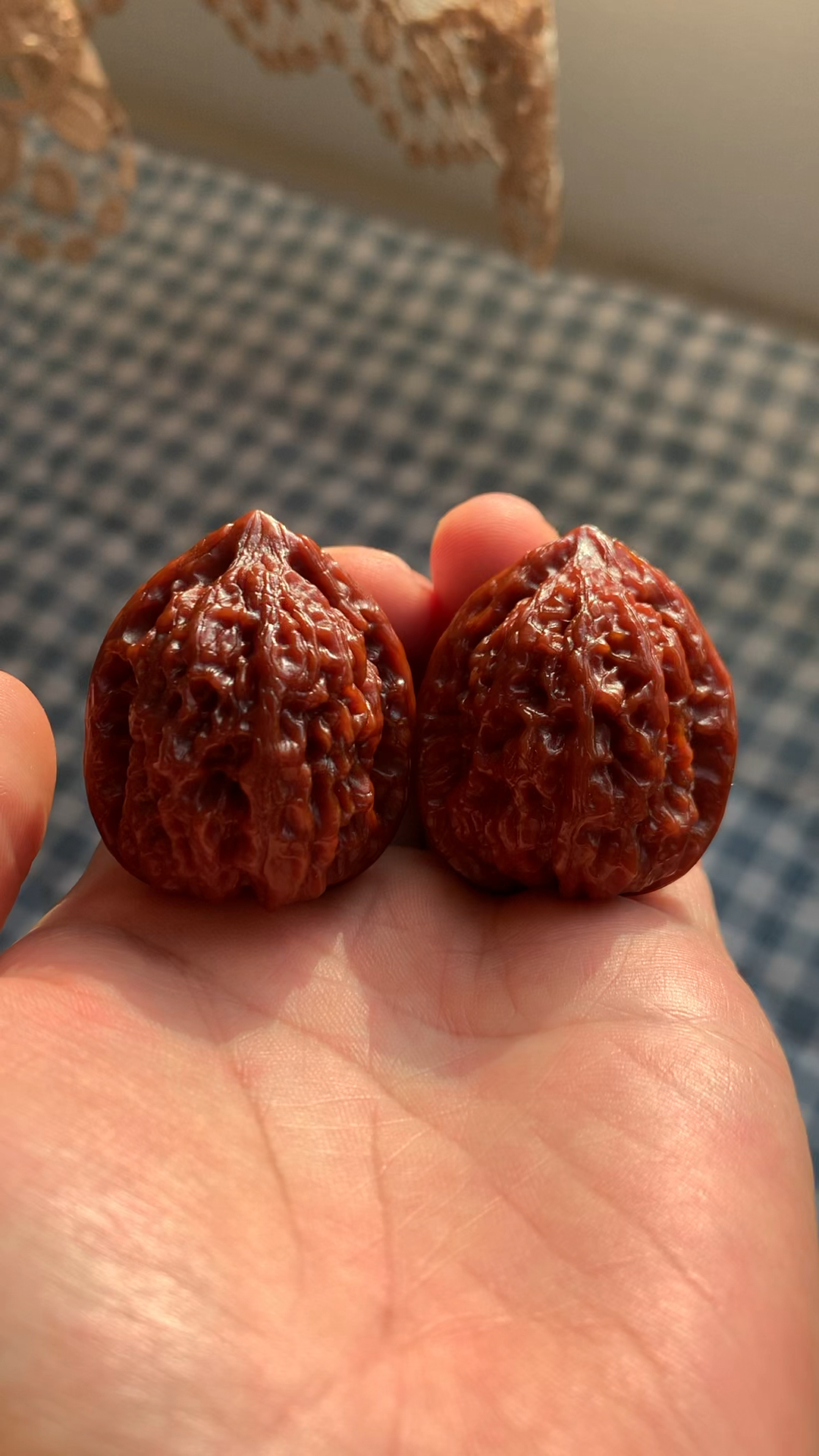百年老树沈阳鸡心,原树沈阳鸡心姬核桃,大尺寸老果