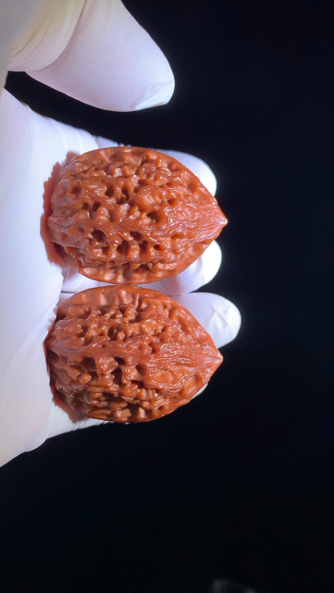 百年老树沈阳鸡心,原树沈阳鸡心姬核桃,多年前老果。