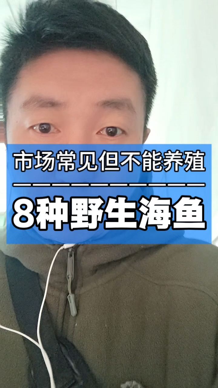 不能养殖的8种野生海鱼。#鲅鱼 #带鱼 #水产 #海鲜 #知识分享