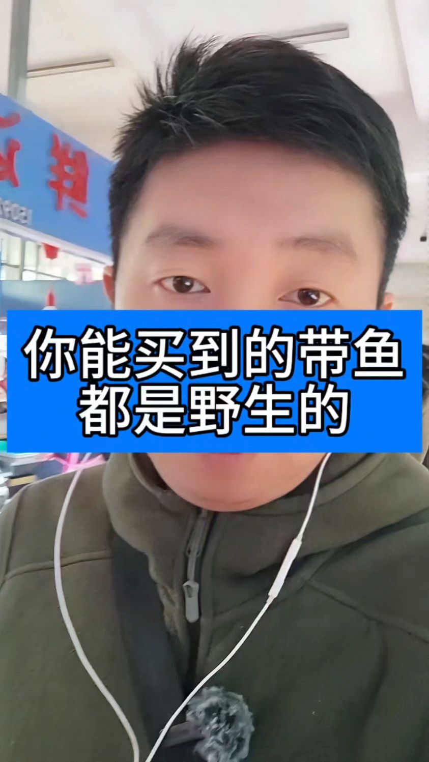 拿带鱼野生说事,卖高价的鱼贩子,都直接怼就行#海鱼 #带鱼 #海鲜