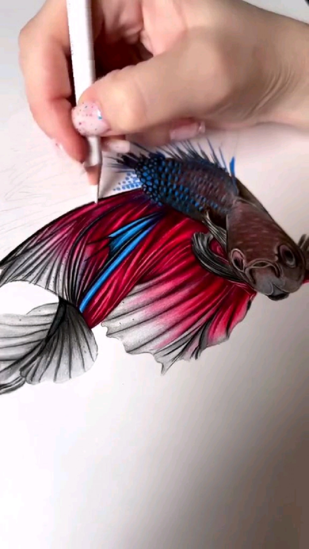 用彩铅画一条漂亮的金鱼