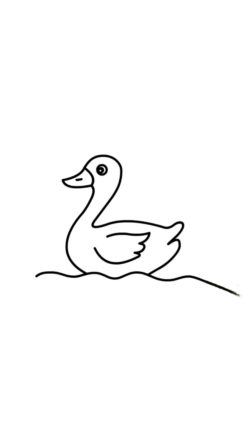 小鸭子简笔画，一起来画吧