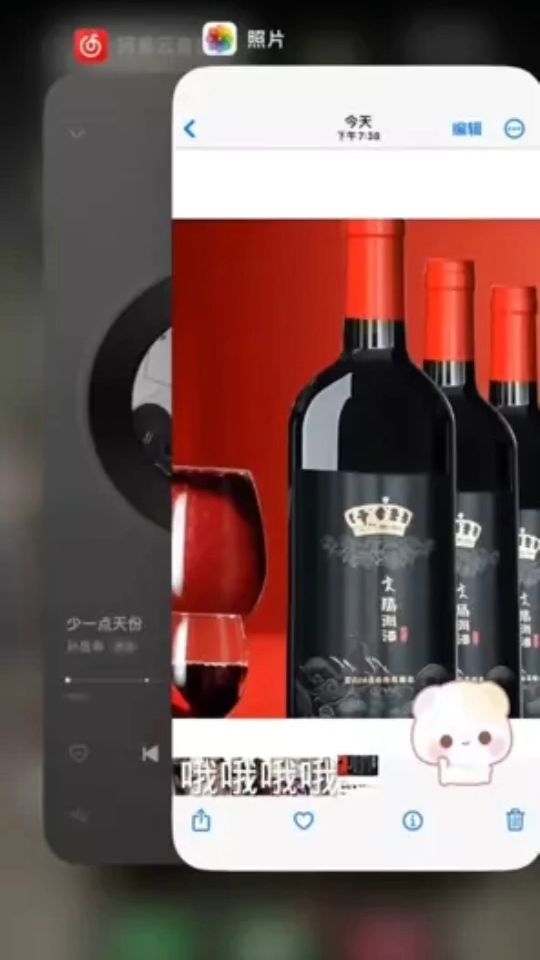 宁夏贺兰山拉妃葡萄酒