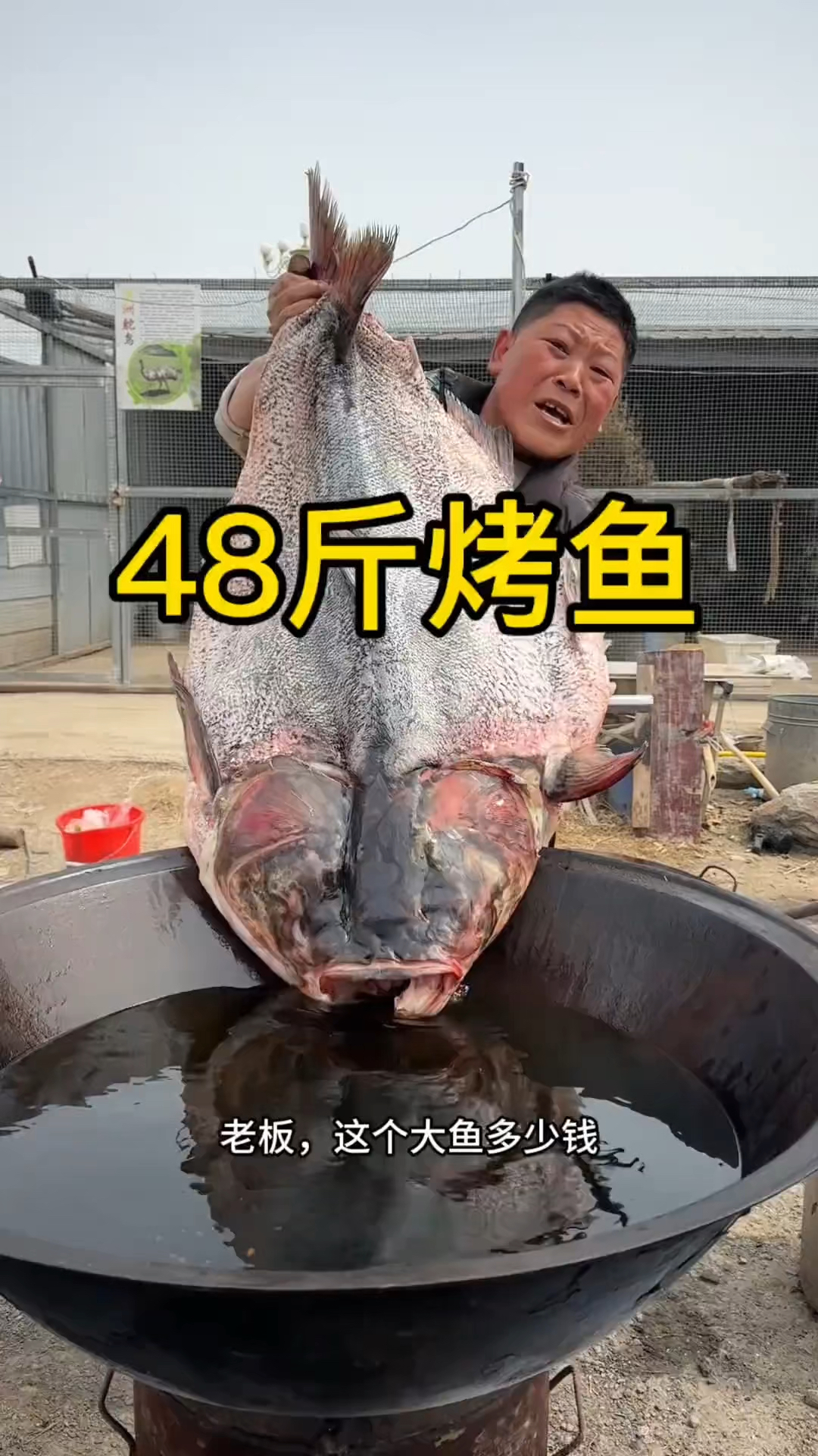 48的大烤鱼吃过吗