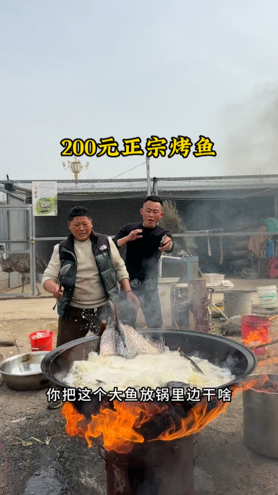 200元一条正宗烤鱼